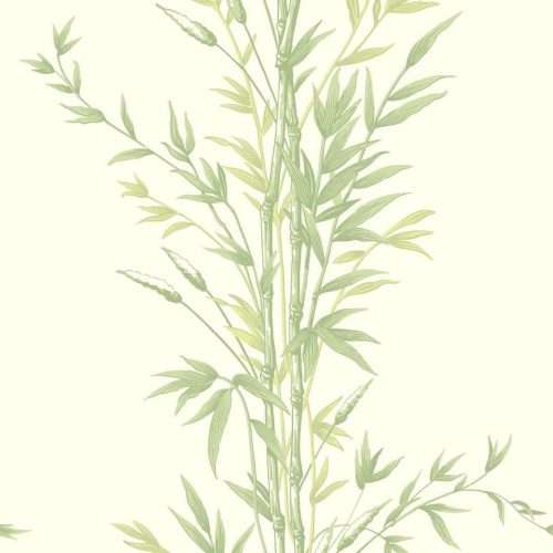 Bamboo - 100/5023