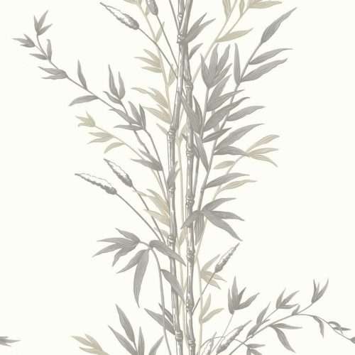 Bamboo - 100/5025