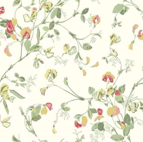 Sweet Pea - 100/6027