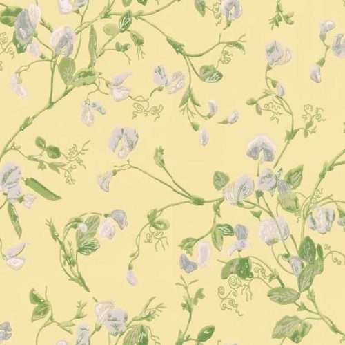 Sweet Pea - 100/6029