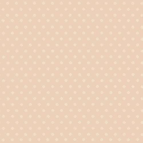 Victorian Star - 100/7037