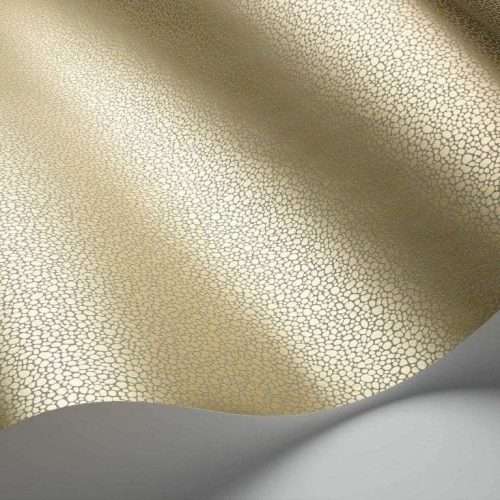 Goldstone - 107/9041