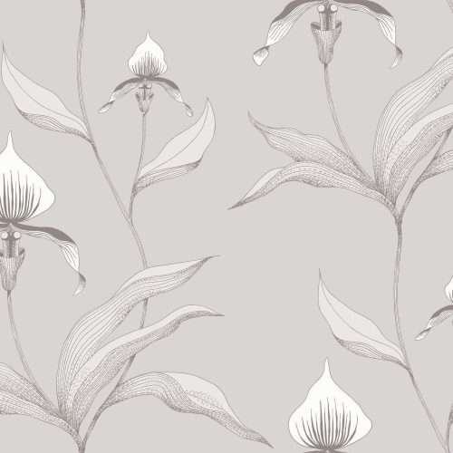 Orchid - 95/10055