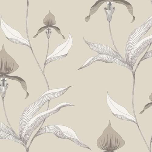 Orchid - 95/10058
