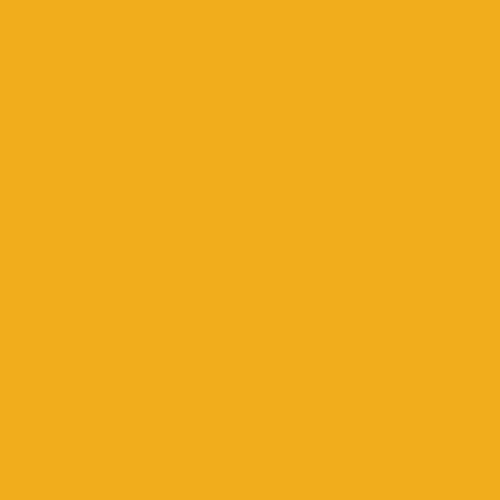 Goldfinch Feather