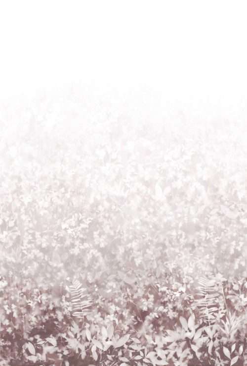 Folia - Plaster