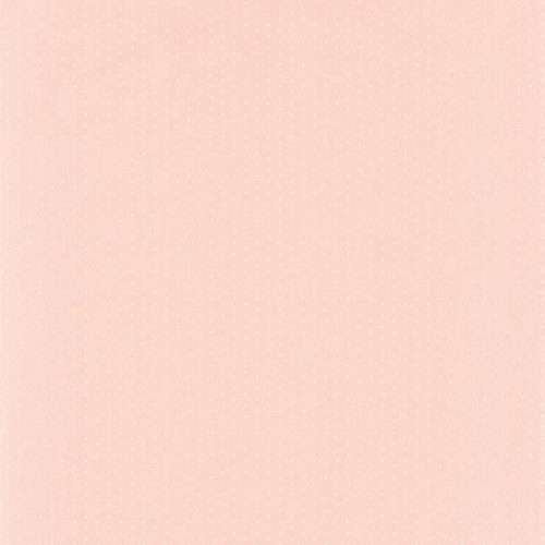Pois - Rose