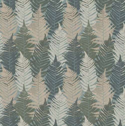 Fern Forest - 1162